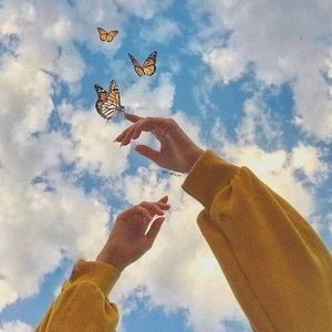 Meet your Posher, Farida